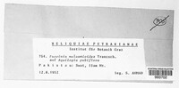 Image Associated With the Occurence